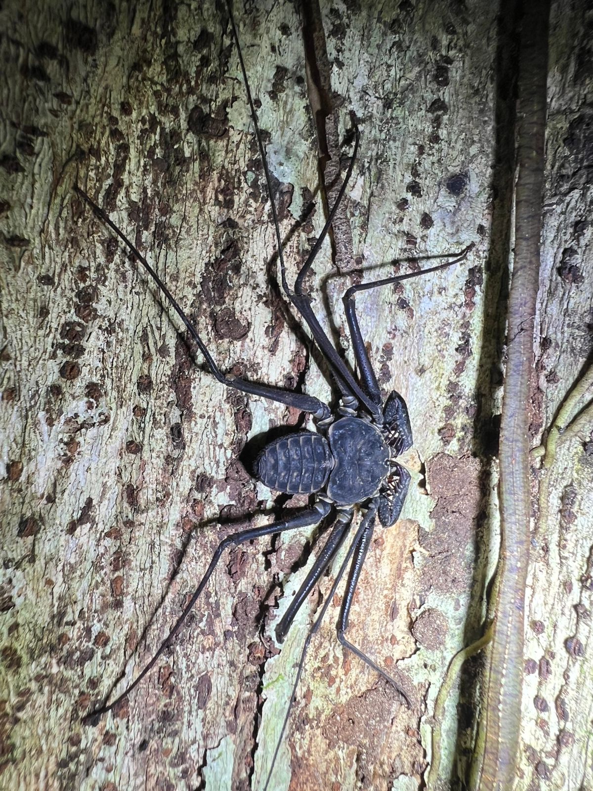 Costa Rica nature tour photo