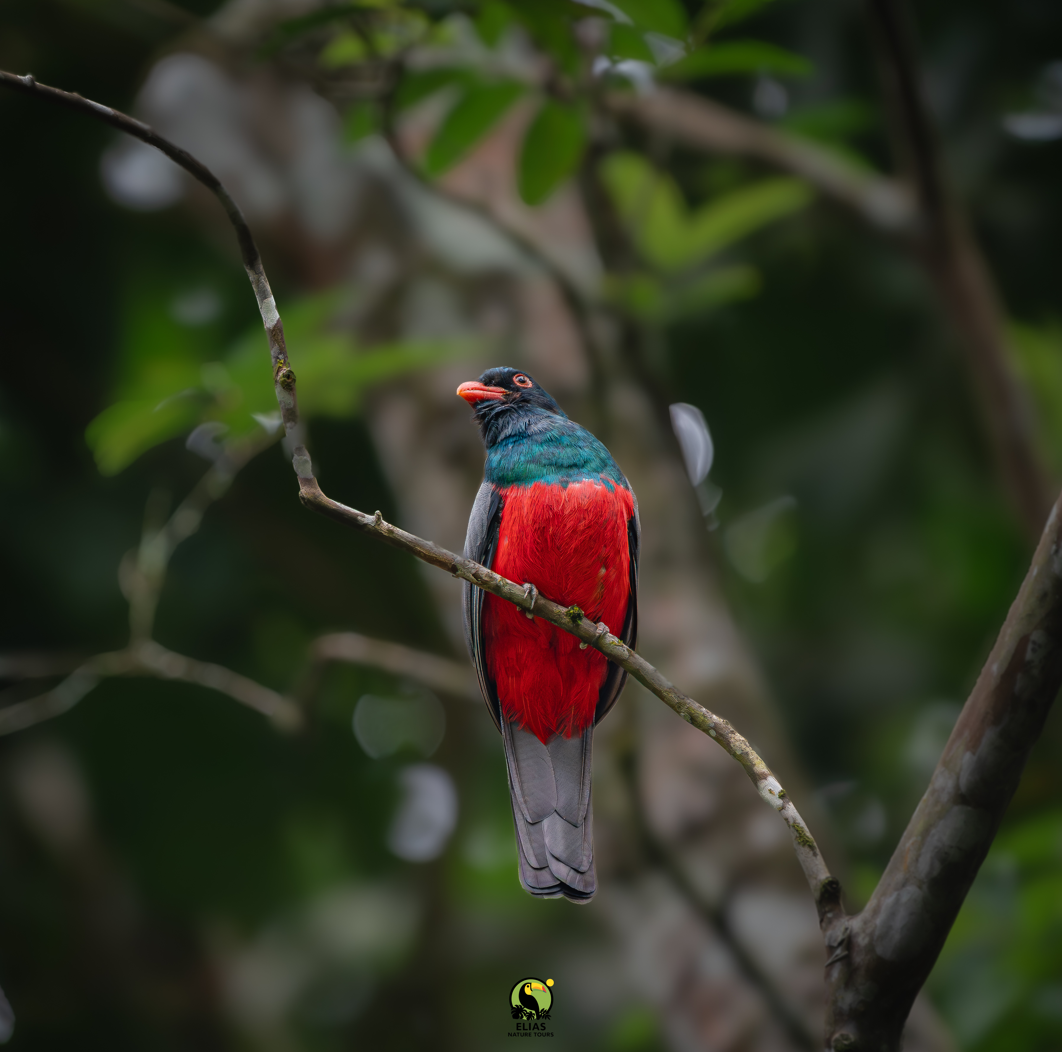 Costa Rica nature tour photo