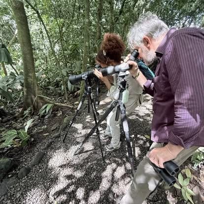 Arenal Observatory Birding — birding tour in Costa Rica with VIVO Expeditions. 3–4h.