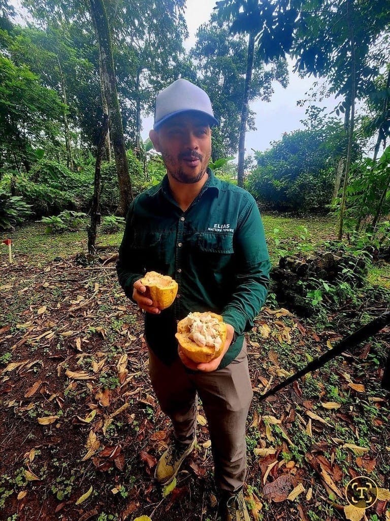 Private vs Shared Tours in Costa Rica: Which Is Worth It?