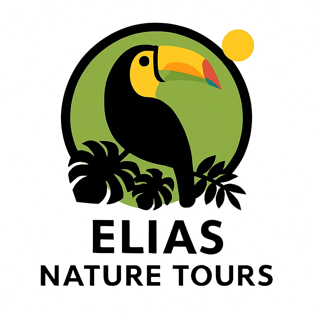 VIVO Expeditions