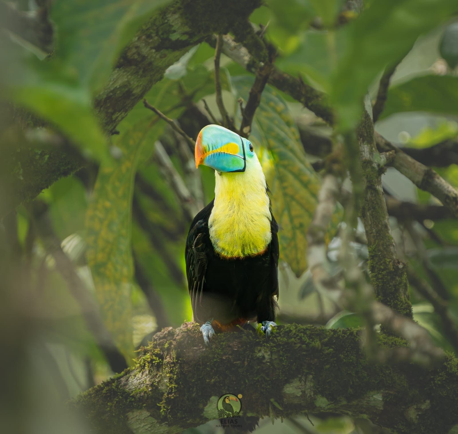 Costa Rica nature tour photo