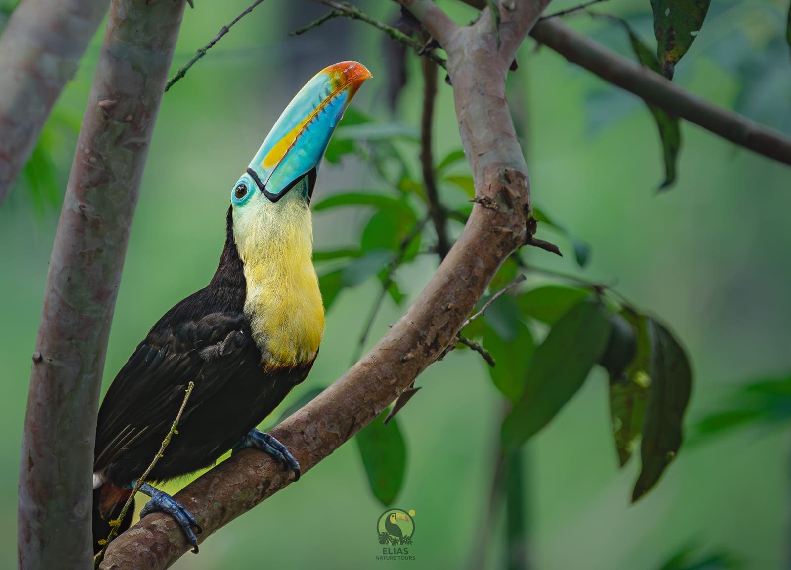 Costa Rica nature tour photo