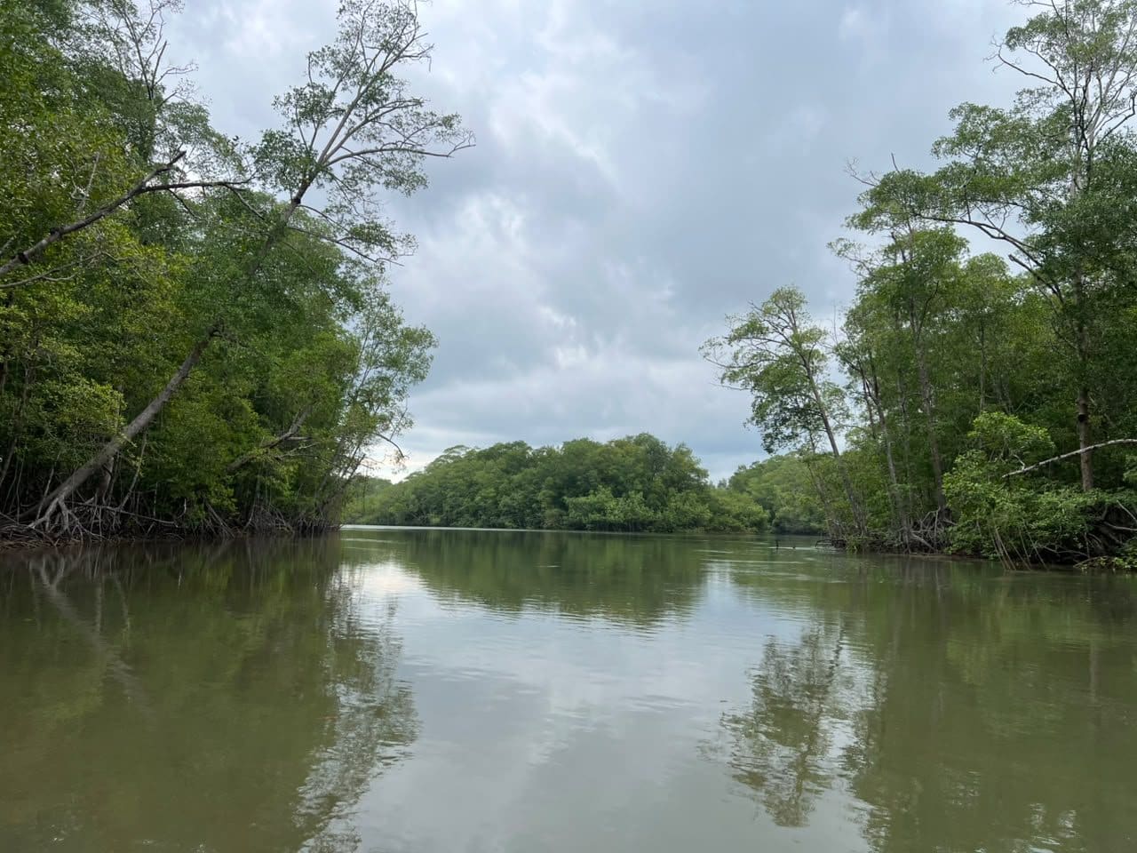 Costa Rica nature tour photo