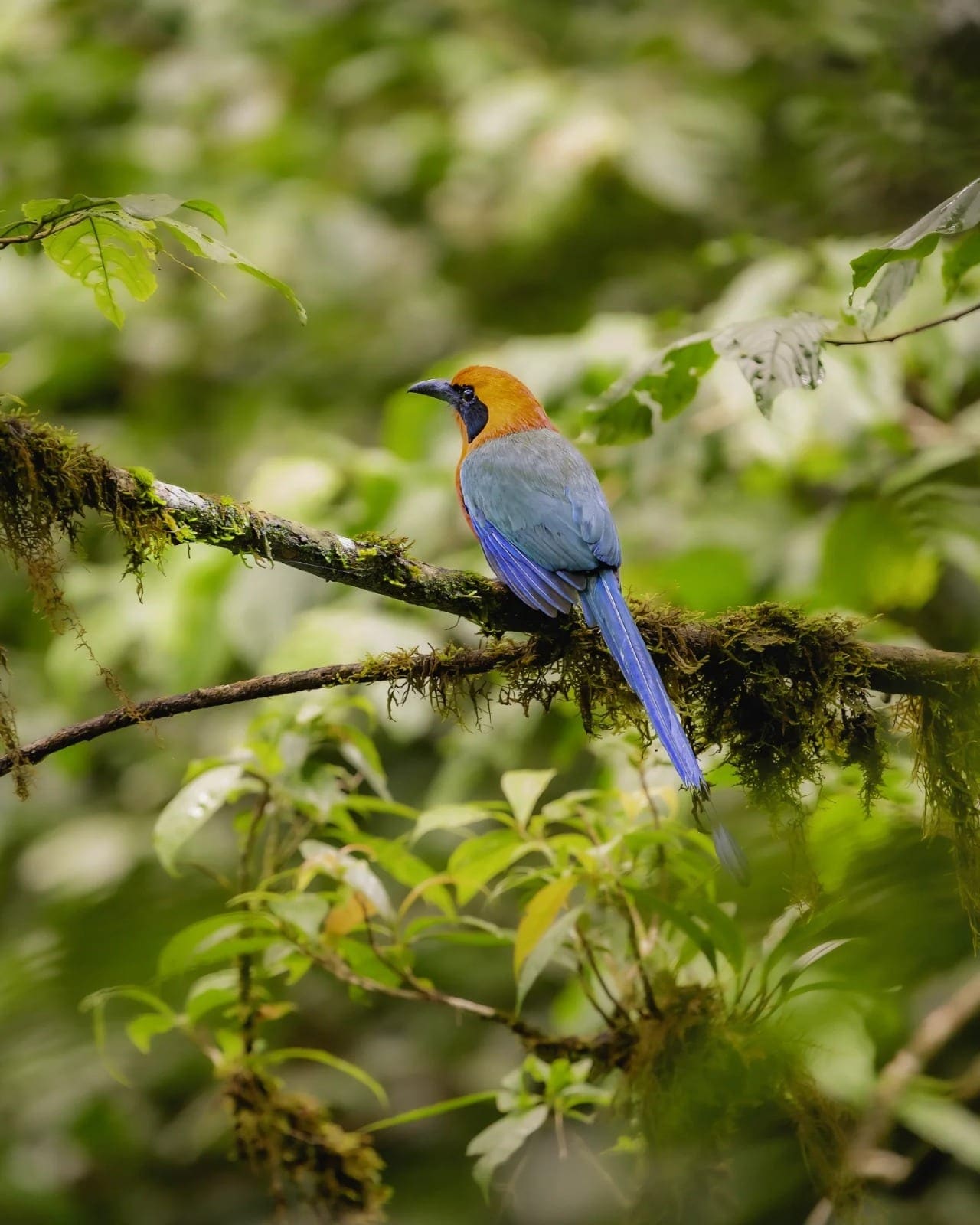 Costa Rica nature tour photo