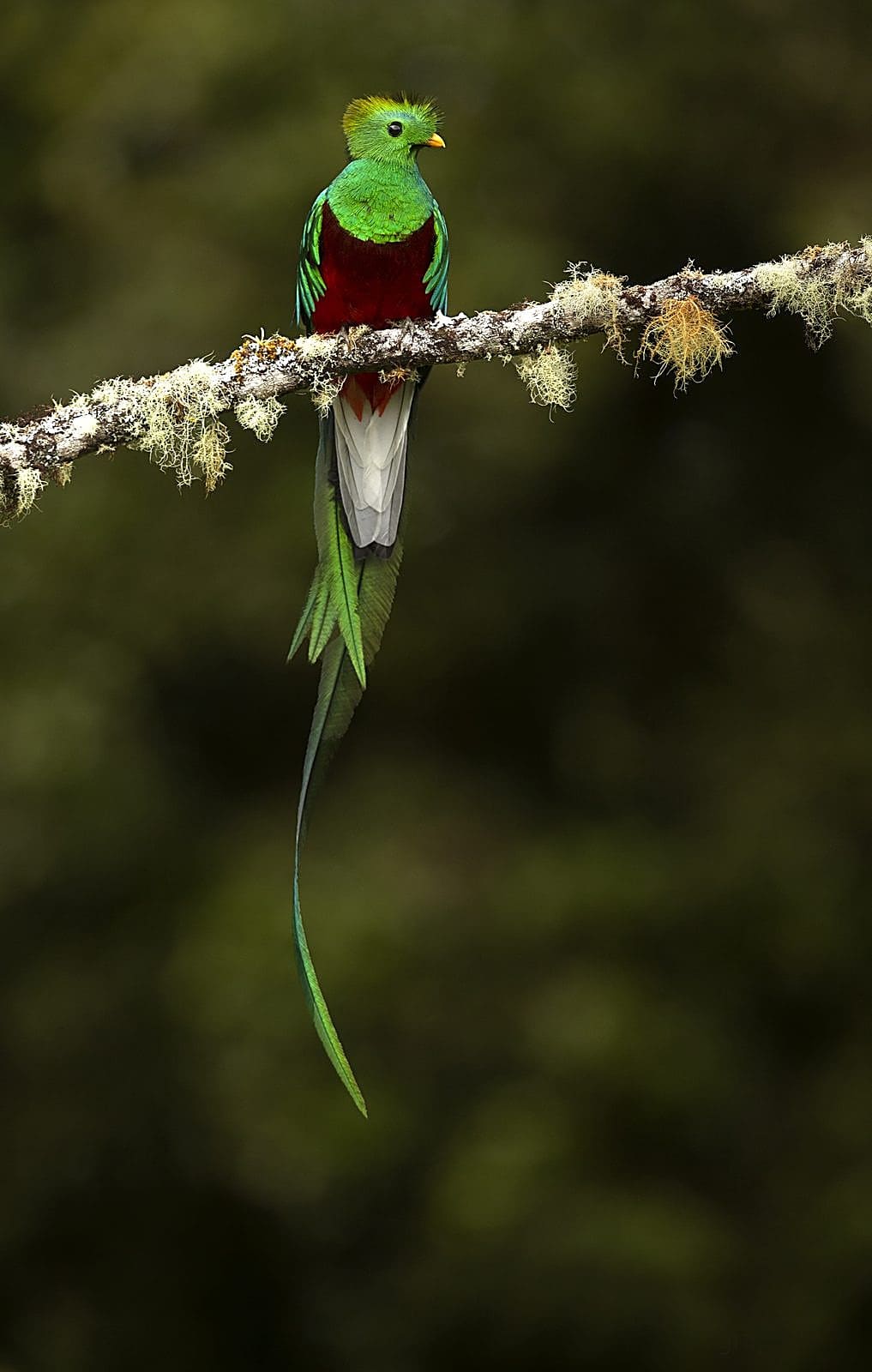 Costa Rica nature tour photo
