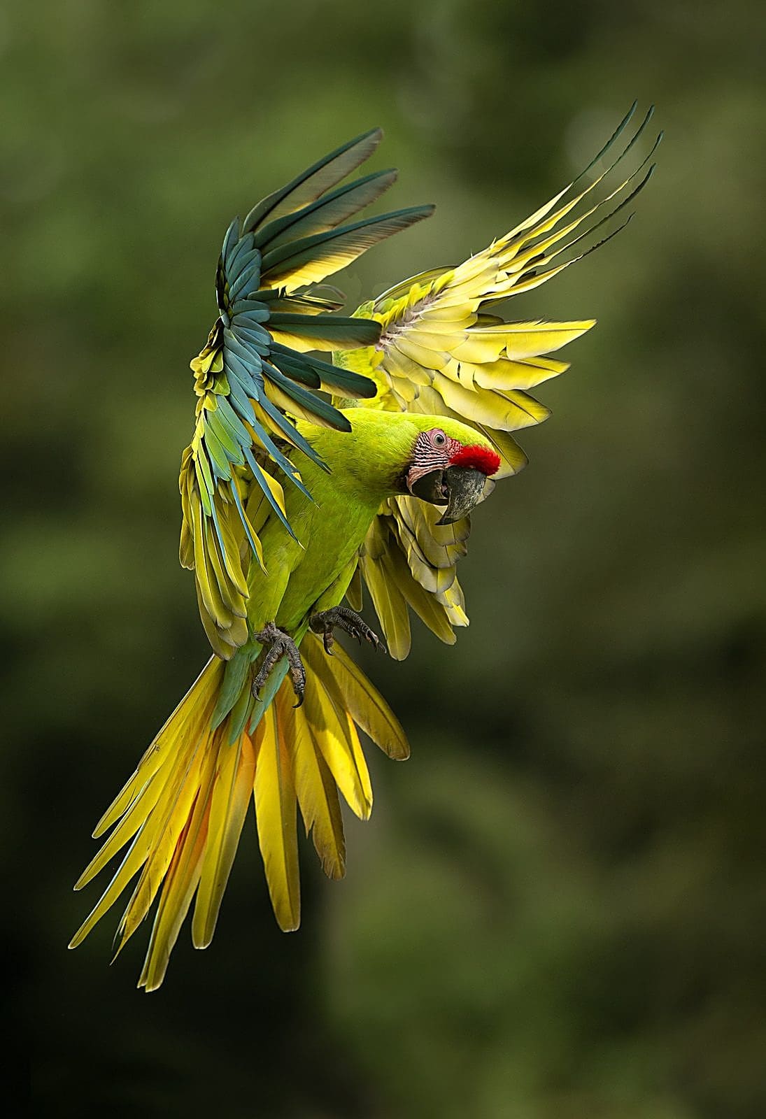 Wildlife encounter during a workshop day