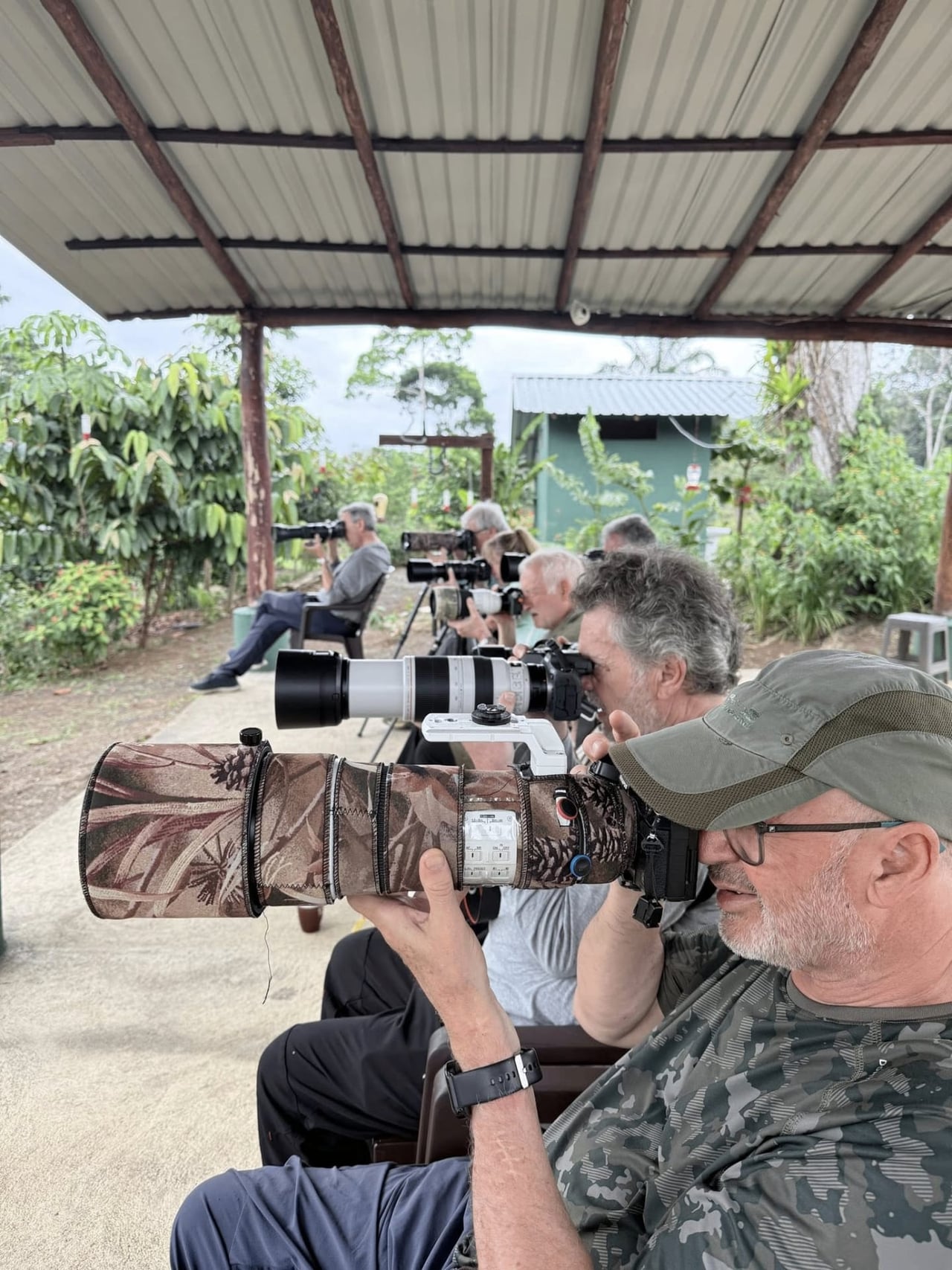 Custom wildlife photography expedition in Costa Rica