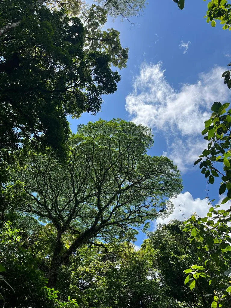 🌋 La Fortuna – Classic Combo Experience