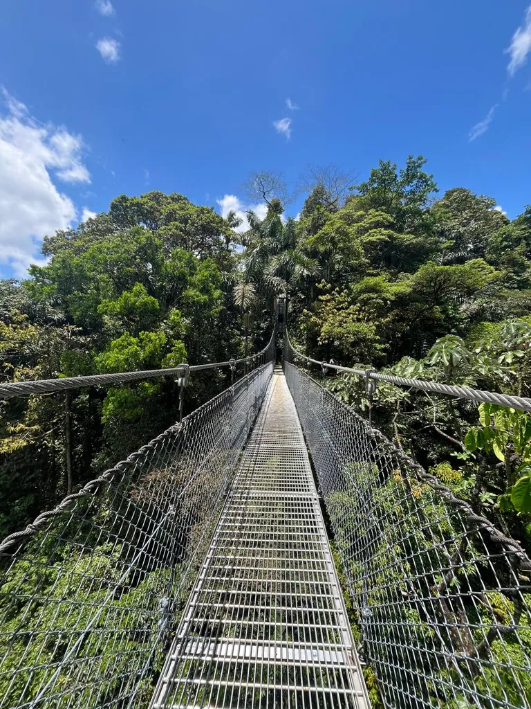 Mistico Hanging Bridges – Wildlife Walk