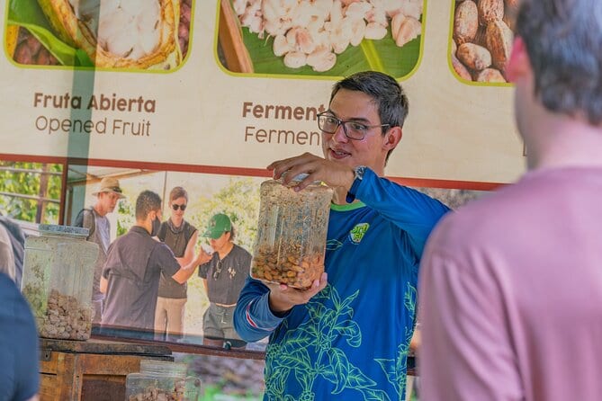 Coffee & Chocolate Farm Tour
